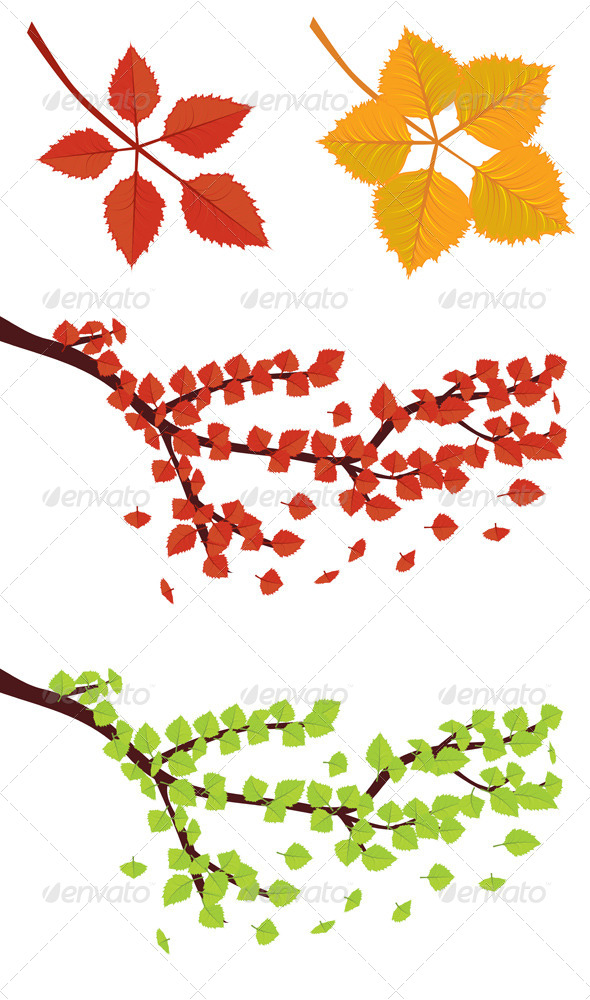 GraphicRiver Branch with Autumn Leaves 7358040 GraphicRiver Branch with Autumn Leaves 7358040