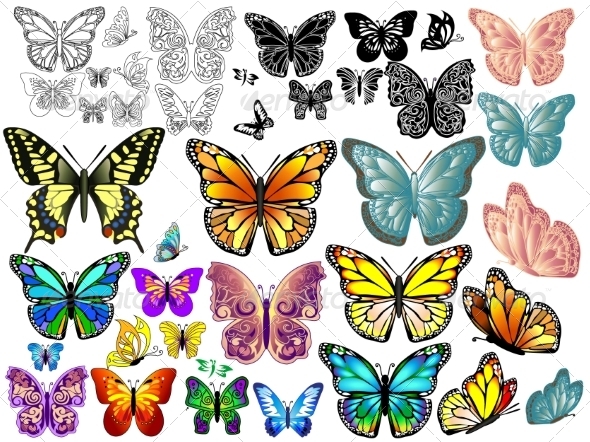 Set of Colorful Realistic Isolated Butterflies (Flowers & Plants)