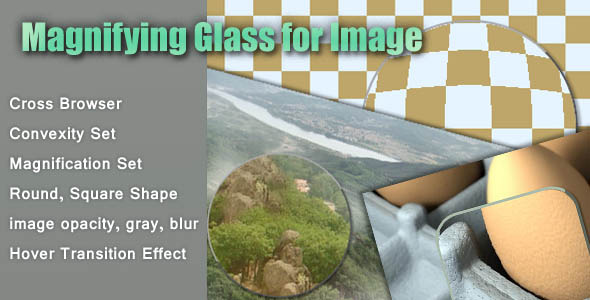 CodeCanyon Magnifying Glass for Image 7369570 CodeCanyon Magnifying Glass for Image 7369570
