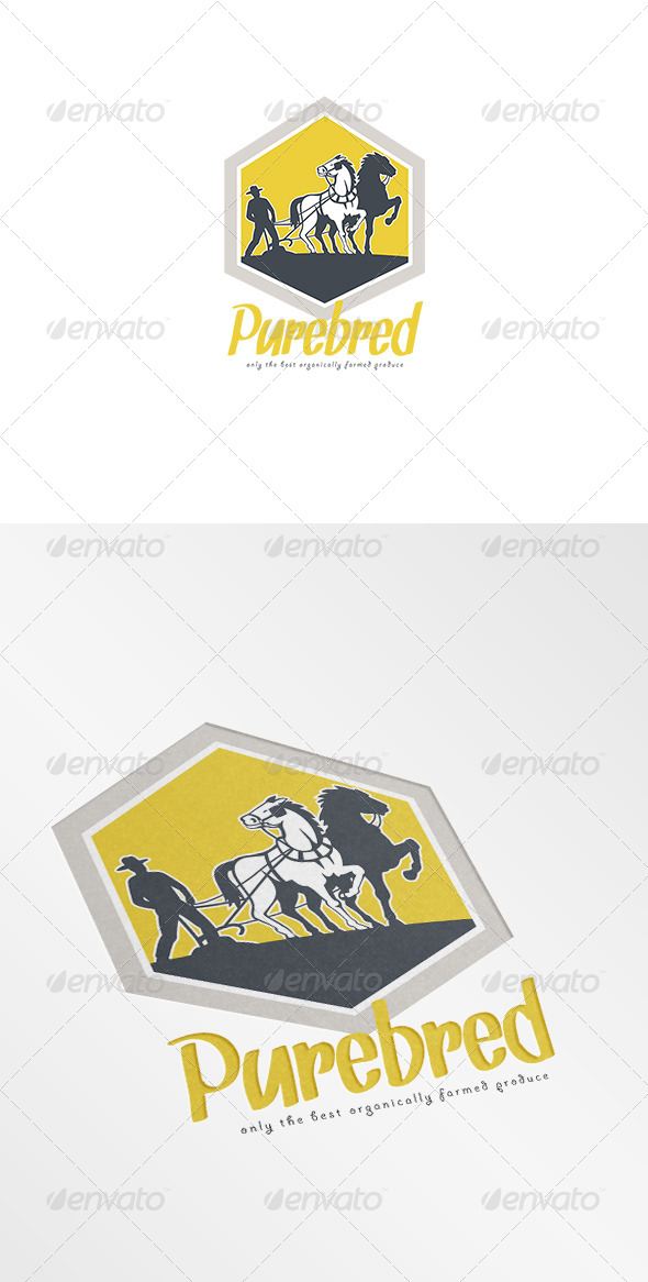 GraphicRiver Purebred Organic Farm Produce Logo 7377056 GraphicRiver Purebred Organic Farm Produce Logo 7377056