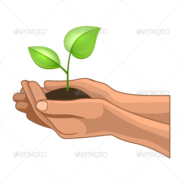 GraphicRiver Hands and Plant on White Background 7381818 GraphicRiver Hands and Plant on White Background 7381818