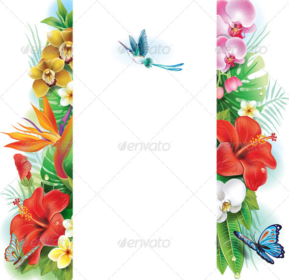 GraphicRiver Banner from Tropical Flowers and Leaves 7384116 GraphicRiver Banner from Tropical Flowers and Leaves 7384116