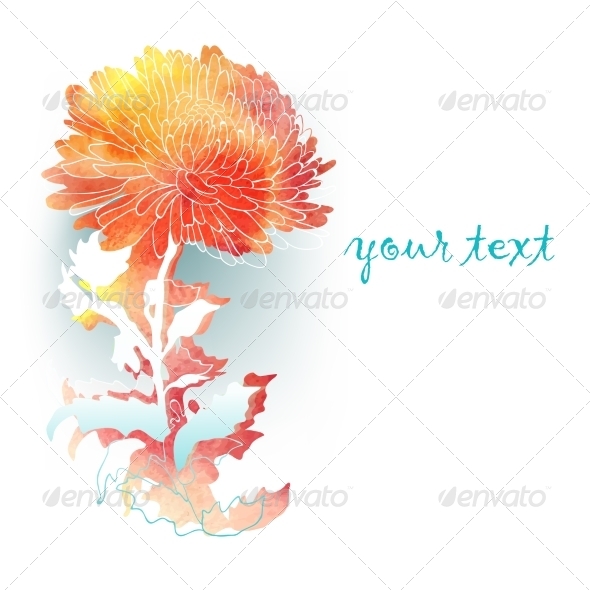 GraphicRiver Watercolor Background with Chrysanthemum 7395266 GraphicRiver Watercolor Background with Chrysanthemum 7395266