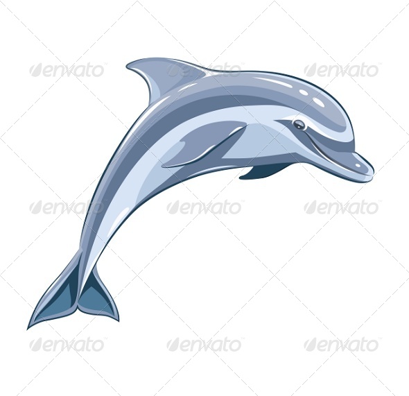 Dolphin (Animals)