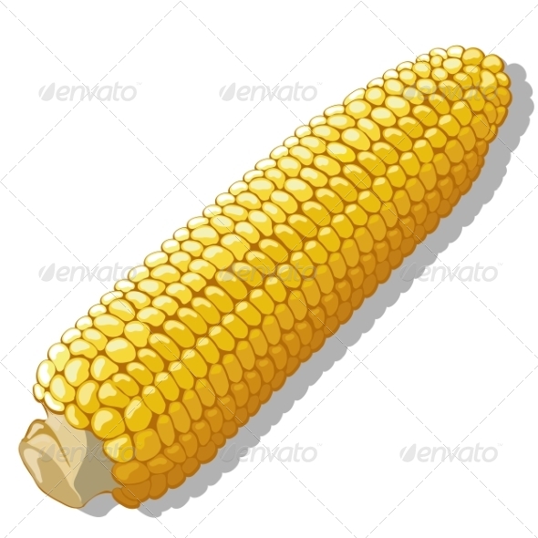 GraphicRiver Maize 7403865 GraphicRiver Maize 7403865