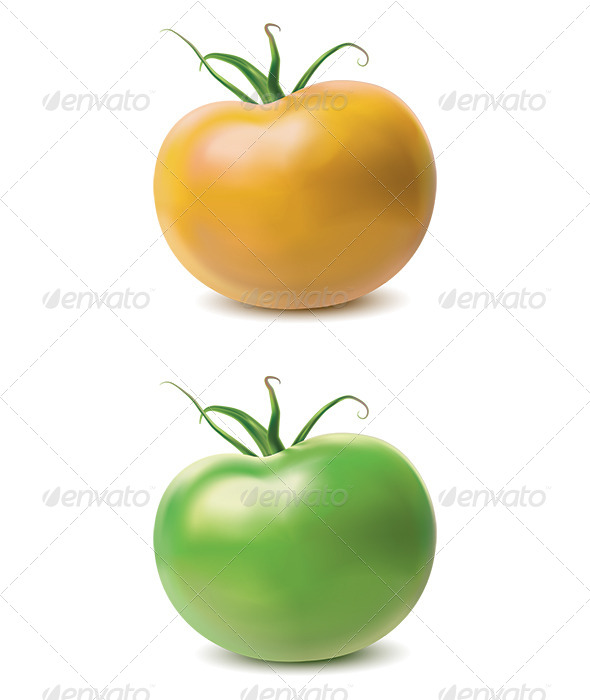 GraphicRiver Tomato Yellow and Green 7412359 GraphicRiver Tomato Yellow and Green 7412359