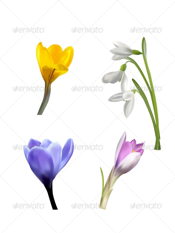 GraphicRiver Set of Spring Flowers and Grass 7415922 GraphicRiver Set of Spring Flowers and Grass 7415922