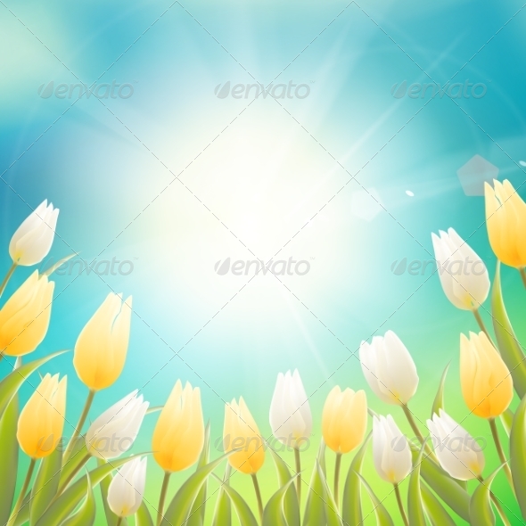 GraphicRiver Card with White and Yellow Tulips 7416723 GraphicRiver Card with White and Yellow Tulips 7416723