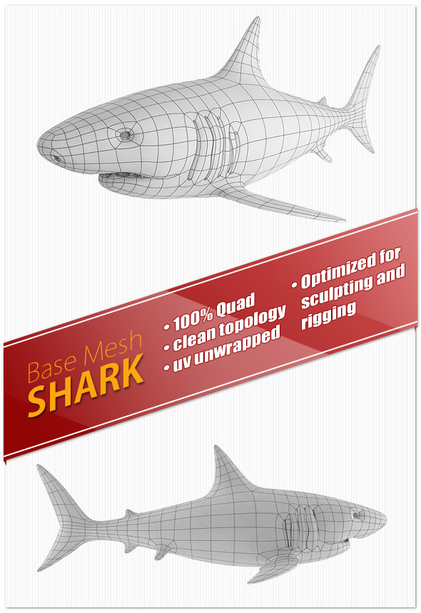 3DOcean Shark Base Mesh 7424200 3DOcean Shark Base Mesh 7424200