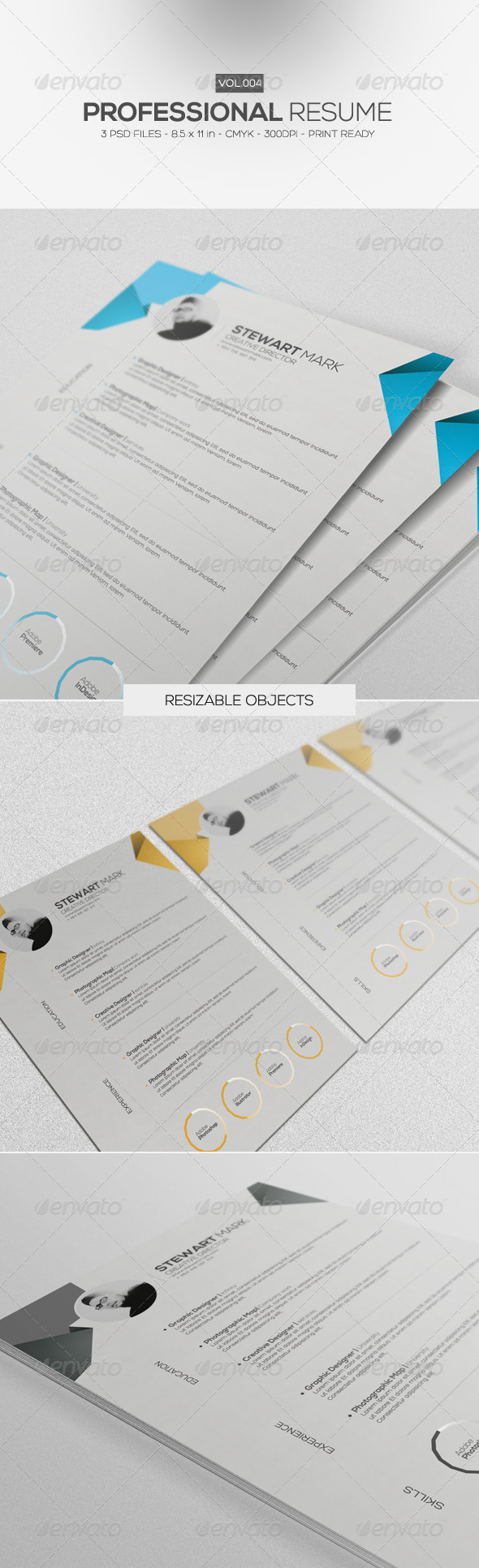 GraphicRiver Professional Resume Vol.4 7425376 GraphicRiver Professional Resume Vol.4 7425376