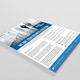 Business Flyer Template Business Flyer Template