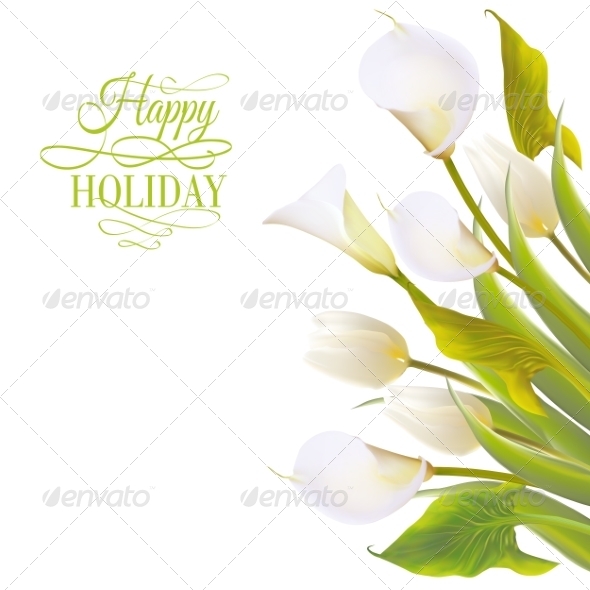  Gambar Bunga Calla Lily Tinkytyler org Stock Photos 