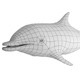 Dolphin Base Mesh Dolphin Base Mesh - 3DOcean Item for Sale