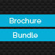 Bifold Brochure Bundle Bifold Brochure Bundle