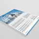 Business Flyer Template Business Flyer Template