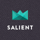 Salient - Responsive Multi-Purpose Theme Salient - Responsive Multi-Purpose Theme - ThemeForest Item for Sale