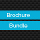 Business Brochure Bundle Business Brochure Bundle