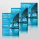 Business Flyer Template Business Flyer Template