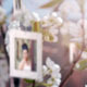 White Blossom White Blossom - VideoHive Item for Sale
