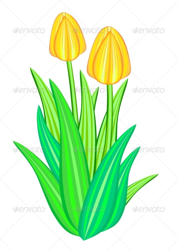 Cartoon Bunga Tulip » Dondrup.com