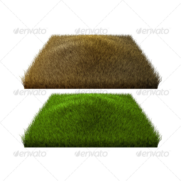 GraphicRiver Normal and Burned Grass 32468 GraphicRiver Normal and Burned Grass 32468