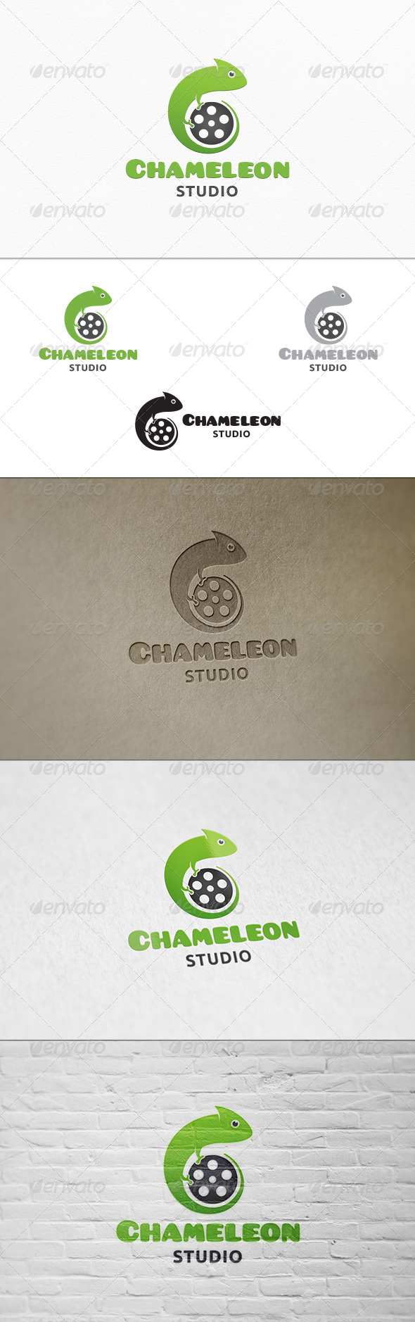 GraphicRiver Chameleon Studio Logo Template 7668408