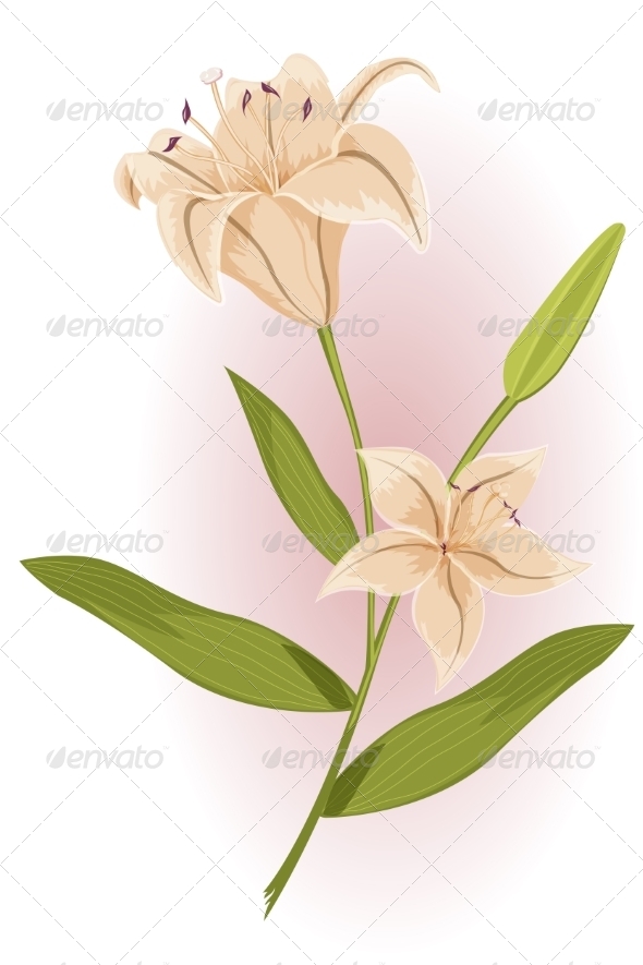 GraphicRiver Golden Lily 7673339