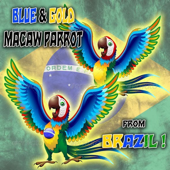 GraphicRiver Macaw Cartoon with Brazil Flag Colors 7683475