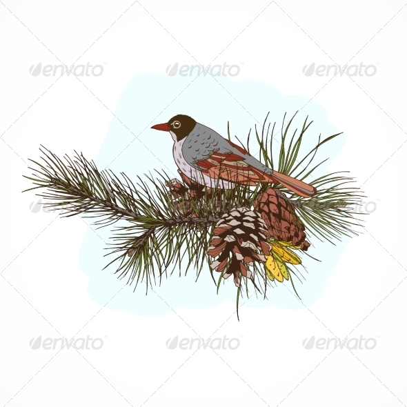 GraphicRiver Pine Branches with Bird 7690282