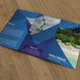 Trifold Brochure-Business Trifold Brochure-Business