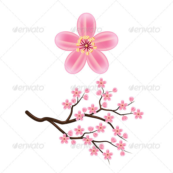 GraphicRiver Blooming Cherry Branch 7733910