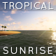 Tropical Sunrise Tropical Sunrise