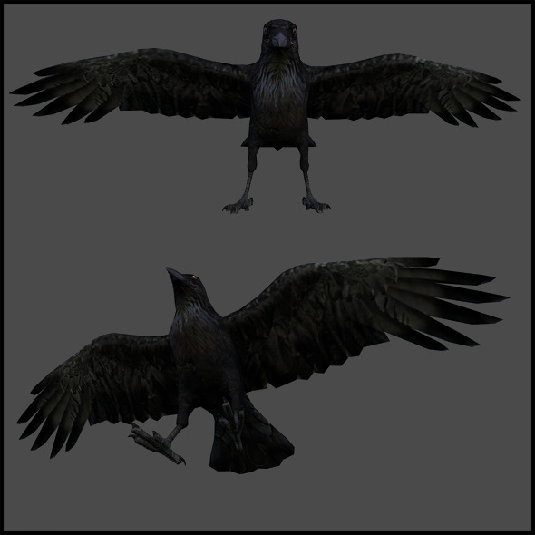 rigged crow 3d model free download