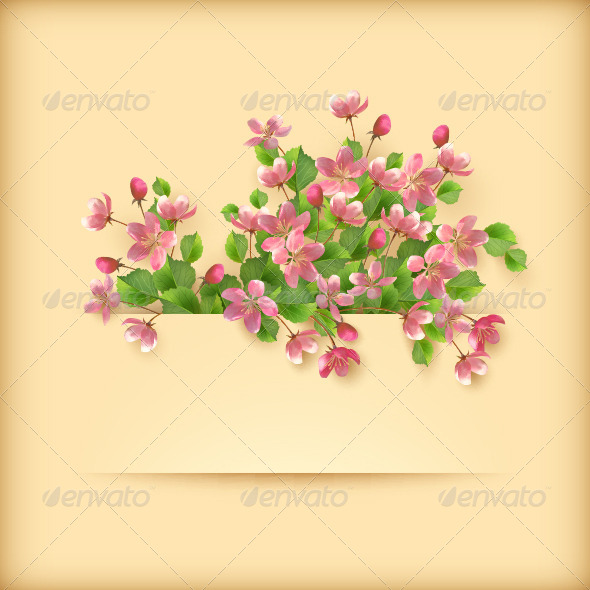 GraphicRiver Pink Cherry Blossom Flowers Greeting Card 7801517