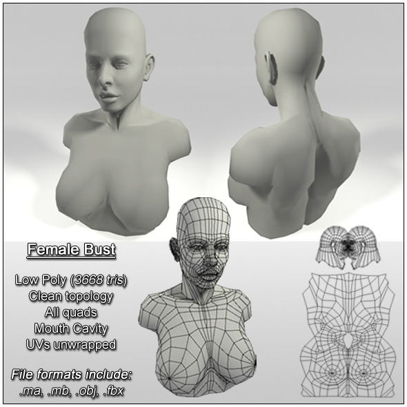 3DOcean Low Poly Female Bust 7807622 3DOcean Low Poly Female Bust 7807622