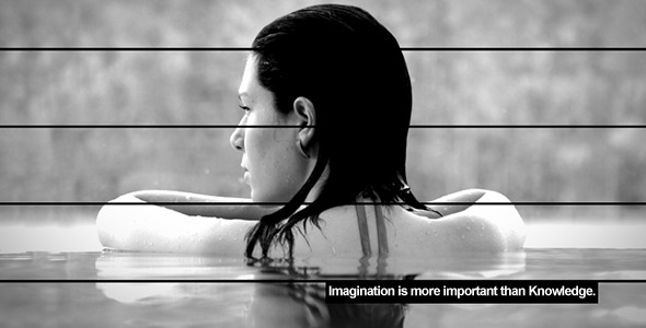 After Effects Project - VideoHive Reveal 839778 After Effects Project - VideoHive Reveal 839778